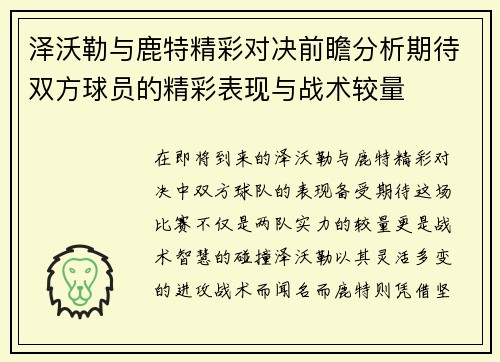 泽沃勒与鹿特精彩对决前瞻分析期待双方球员的精彩表现与战术较量