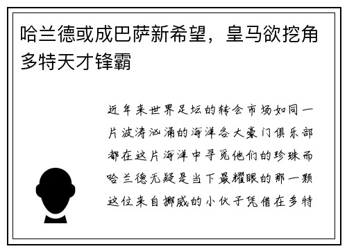 哈兰德或成巴萨新希望，皇马欲挖角多特天才锋霸