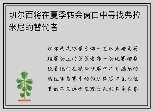 切尔西将在夏季转会窗口中寻找弗拉米尼的替代者