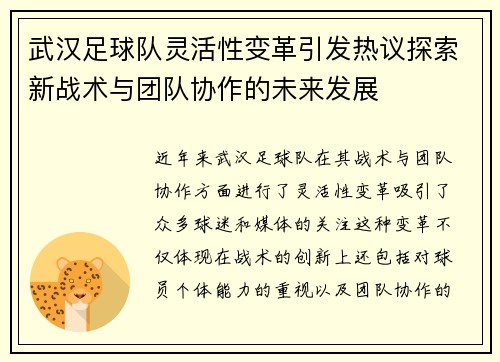 武汉足球队灵活性变革引发热议探索新战术与团队协作的未来发展