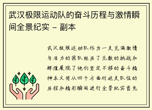 武汉极限运动队的奋斗历程与激情瞬间全景纪实 - 副本