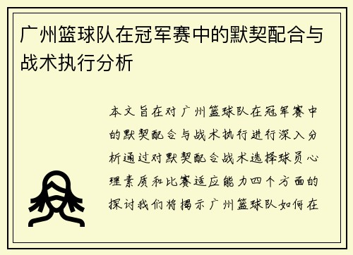 广州篮球队在冠军赛中的默契配合与战术执行分析